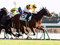 ����å��ǳ��������ɽ�����ޤ�