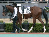 ����å��ǳ��������ɽ�����ޤ�