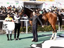 ����å��ǳ��������ɽ�����ޤ�