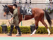 ����å��ǳ��������ɽ�����ޤ�