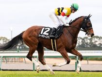 ����å��ǳ��������ɽ�����ޤ�