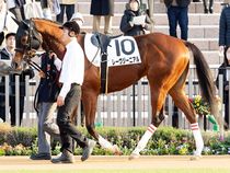 ����å��ǳ��������ɽ�����ޤ�