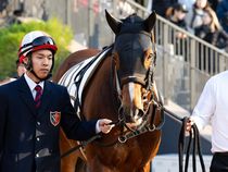 ����å��ǳ��������ɽ�����ޤ�