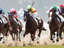 ����å��ǳ��������ɽ�����ޤ�