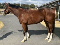 ����å��ǳ��������ɽ�����ޤ�