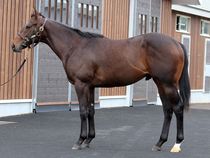 ����å��ǳ��������ɽ�����ޤ�