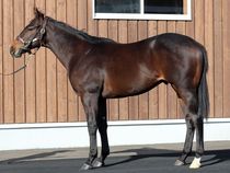 ����å��ǳ��������ɽ�����ޤ�