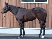 ����å��ǳ��������ɽ�����ޤ�