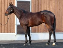 ����å��ǳ��������ɽ�����ޤ�