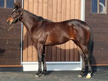 ����å��ǳ��������ɽ�����ޤ�