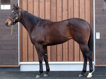 ����å��ǳ��������ɽ�����ޤ�