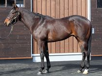 ����å��ǳ��������ɽ�����ޤ�