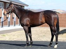 ����å��ǳ��������ɽ�����ޤ�