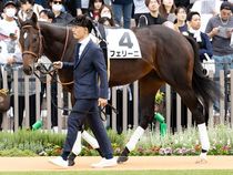 ����å��ǳ��������ɽ�����ޤ�