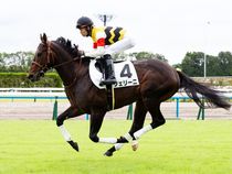 ����å��ǳ��������ɽ�����ޤ�