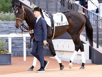 ����å��ǳ��������ɽ�����ޤ�