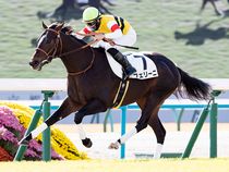 ����å��ǳ��������ɽ�����ޤ�