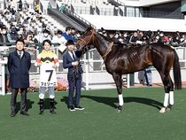 ����å��ǳ��������ɽ�����ޤ�