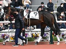 ����å��ǳ��������ɽ�����ޤ�