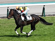 ����å��ǳ��������ɽ�����ޤ�