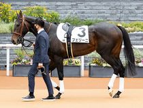 ����å��ǳ��������ɽ�����ޤ�