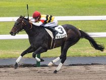 ����å��ǳ��������ɽ�����ޤ�