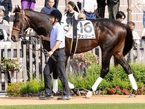 ����å��ǳ��������ɽ�����ޤ�