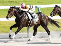 ����å��ǳ��������ɽ�����ޤ�