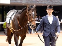 ����å��ǳ��������ɽ�����ޤ�