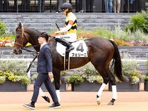 ����å��ǳ��������ɽ�����ޤ�