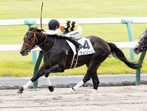 ����å��ǳ��������ɽ�����ޤ�