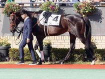 ����å��ǳ��������ɽ�����ޤ�