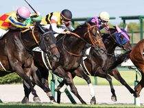 ����å��ǳ��������ɽ�����ޤ�