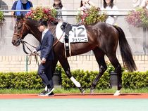 ����å��ǳ��������ɽ�����ޤ�