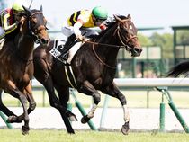 ����å��ǳ��������ɽ�����ޤ�