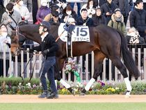 ����å��ǳ��������ɽ�����ޤ�