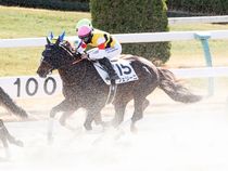 ����å��ǳ��������ɽ�����ޤ�