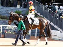 ����å��ǳ��������ɽ�����ޤ�