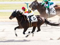 ����å��ǳ��������ɽ�����ޤ�