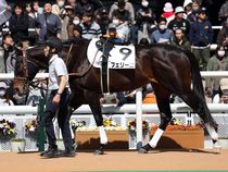 ����å��ǳ��������ɽ�����ޤ�