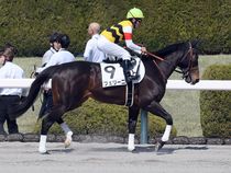 ����å��ǳ��������ɽ�����ޤ�