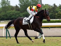 ����å��ǳ��������ɽ�����ޤ�