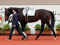 ����å��ǳ��������ɽ�����ޤ�