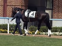 ����å��ǳ��������ɽ�����ޤ�