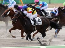 ����å��ǳ��������ɽ�����ޤ�