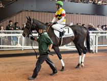 ����å��ǳ��������ɽ�����ޤ�