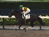 ����å��ǳ��������ɽ�����ޤ�