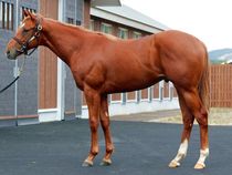 ����å��ǳ��������ɽ�����ޤ�