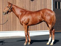 ����å��ǳ��������ɽ�����ޤ�