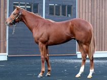 ����å��ǳ��������ɽ�����ޤ�